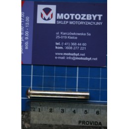 Sworzeń zawiasy pokrywy bagażnika Cnq,6x50 mm-
