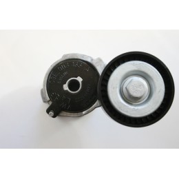 Napinacz paska wielorowkowego Seat,Skoda,VW, 1.2/1.2 12v, 01-