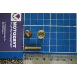 Śruba z łbem stożkowy M6x25, pod śrubokręt krzyżakowy  -